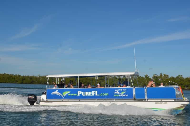 Dolphin Watch/Eco Cruise - Analyzing the Tour’s Value