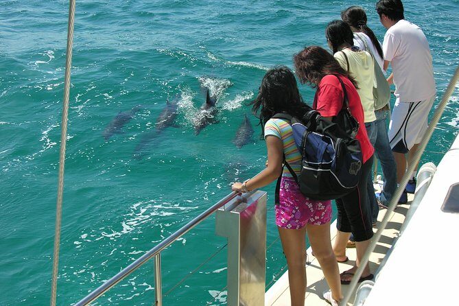 Dolphin Watch + Sailing - Port Stephens - Port Stephens Dolphin Watch + Sailing: A Genuine Marine Experience