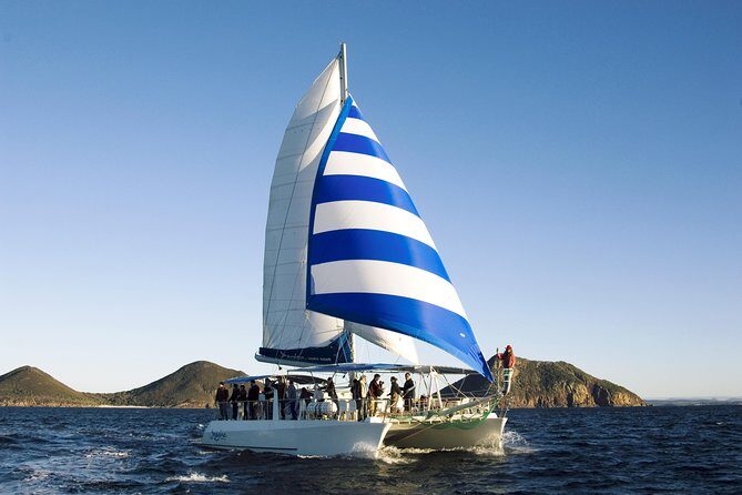 Dolphin Watch + Sailing - Port Stephens - Key Points
