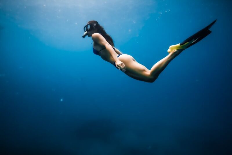 Dolphin Watch Snorkel and BBQ in Kona, Big Island - Key Points