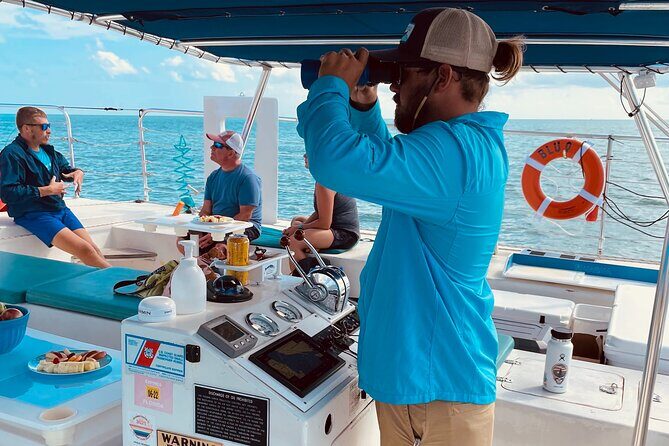 Dolphin Watch + Sunset Sail with Honest Eco - The Sum Up