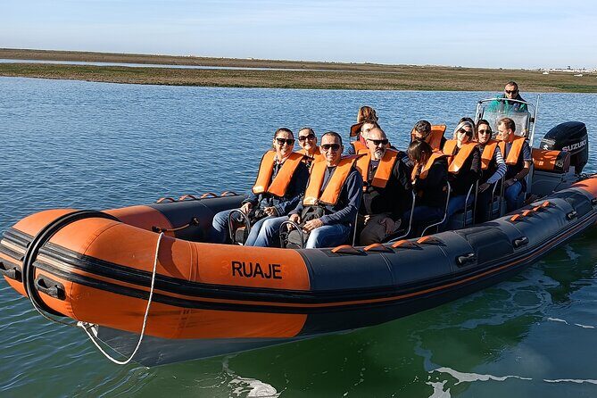 Dolphin Watching + 2 Islands Tour - From Faro - Why This Tour Is Worth Your Time