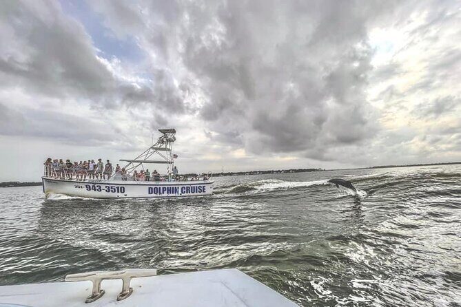 Dolphin Watching aboard the Cold Mil Fleet - Why We Love This Tour