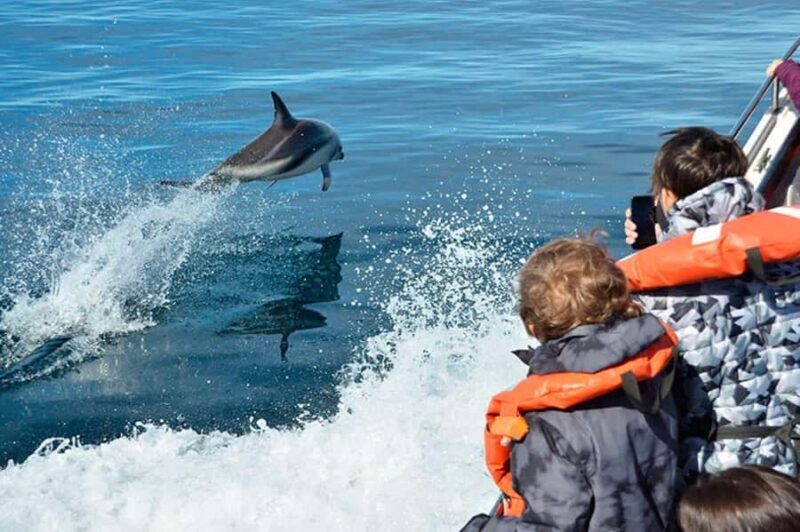 Dolphin Watching Adventure - The Visit to Punta Loma Reserve