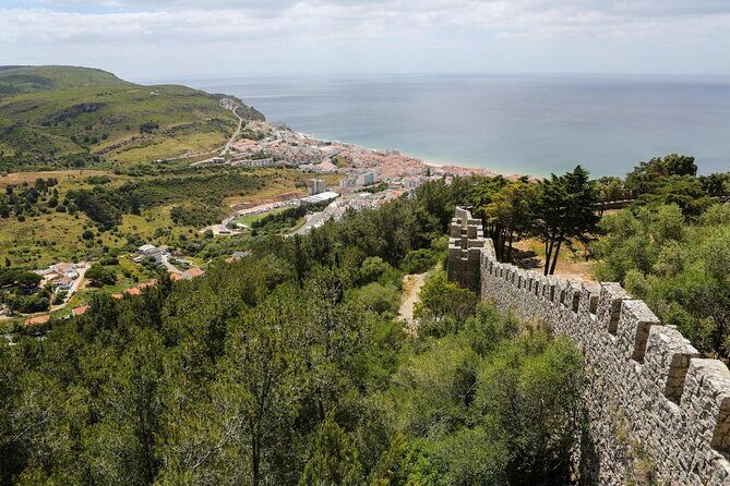 Dolphin Watching and Boat Tour in Sesimbra - Dolphin Watching and Boat Tour in Sesimbra