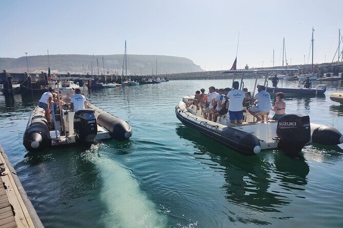 Dolphin Watching and Boat Tour in Sesimbra - Frequently Asked Questions