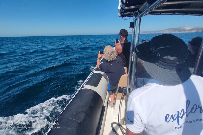 Dolphin Watching and Boat Tour in Sesimbra - Final Thoughts