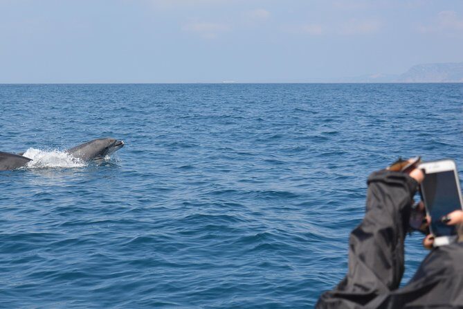Dolphin Watching and Boat Tour in Sesimbra - Final recommendation