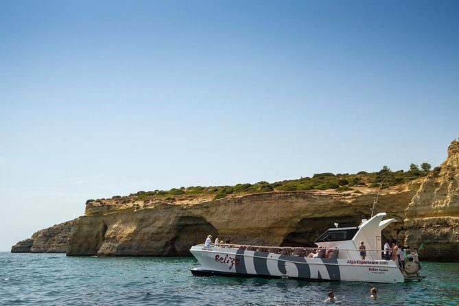 Dolphin Watching and Cave Boat Cruise from Albufeira - Who Should Book This Tour?