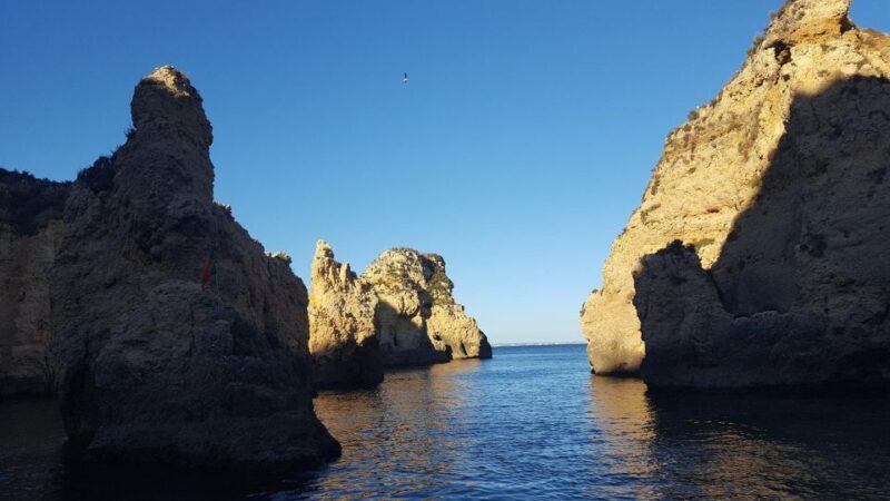 Dolphin Watching and Local Caves - Dolphin Watching and Local Caves: An Authentic Algarve Adventure