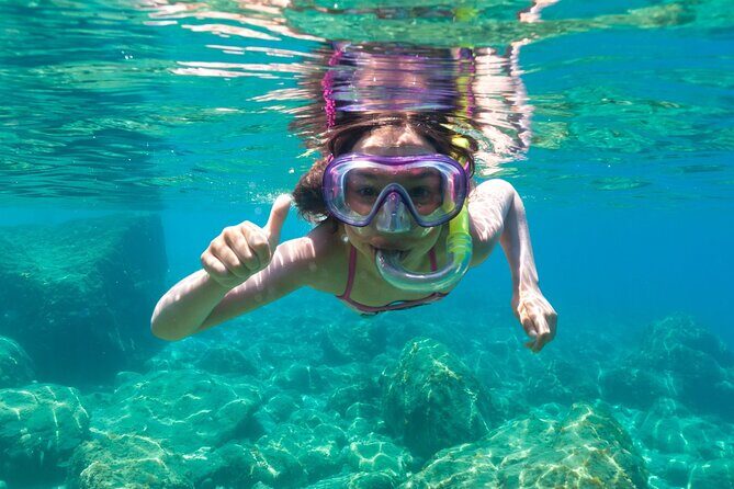 Dolphin Watching and Snorkeling in Figarolo in Sardinia - An In-Depth Look at the Dolphin Watching & Snorkeling Tour in Sardinia