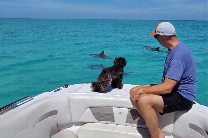 Dolphin Watching and Snorkeling Key West - The Allure of the Snorkeling Spots