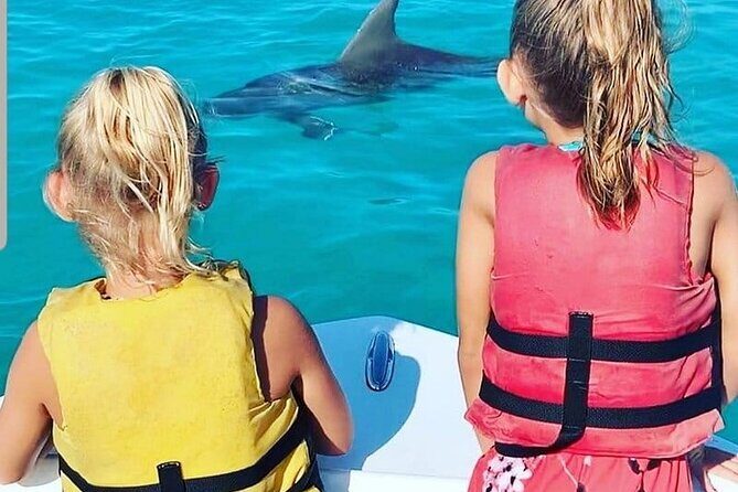 Dolphin Watching and Snorkeling Key West - Who Will Love This Tour?