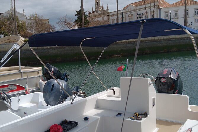 Dolphin watching and wildlife from Faro - Frequently Asked Questions