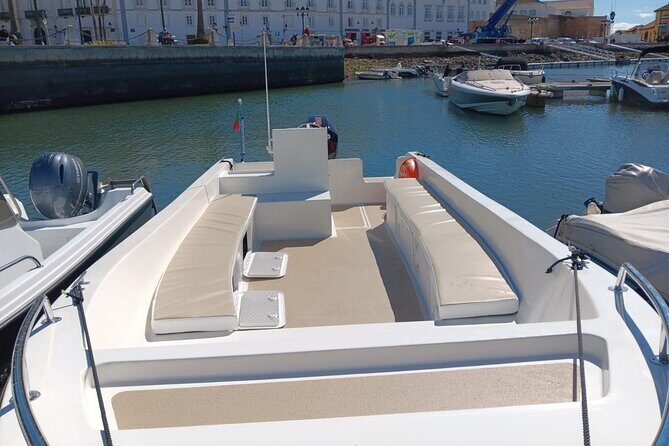 Dolphin watching and wildlife from Faro - Final Thoughts