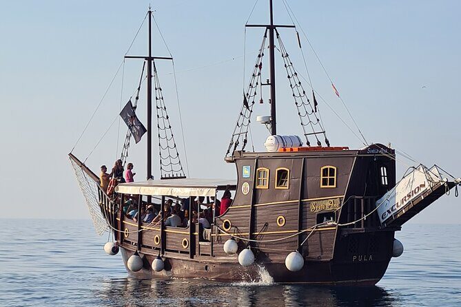 Dolphin Watching Boat Trip around Vrsar - A Detailed Look at the Vrsar Dolphin Watching Experience