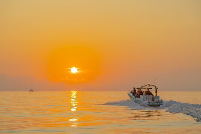 Dolphin watching by boat - Frequently Asked Questions
