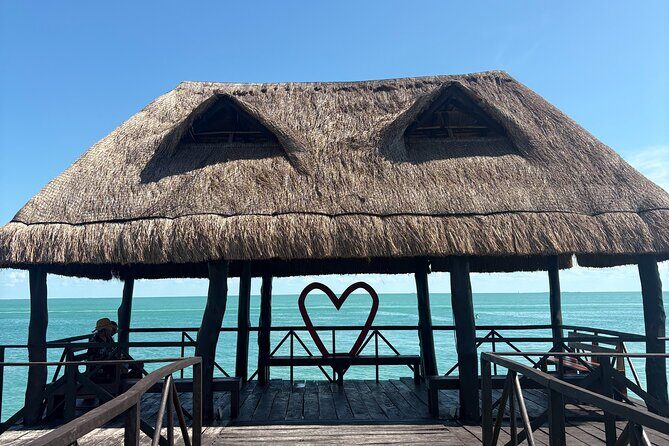 Dolphin watching by private boat from Isla Aguada - A Detailed Look at the Tour Experience