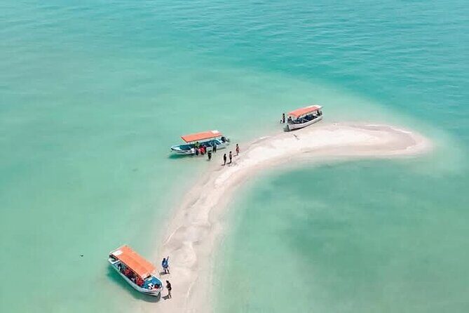 Dolphin watching by private boat from Isla Aguada - Authentic Insights from Travelers