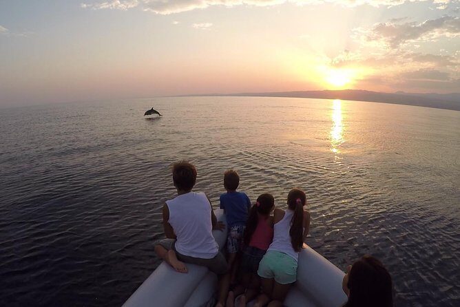Dolphin Watching & Conservation - Dolphins in the Gulf of Catania - A Detailed Look at the Dolphin Watching Experience