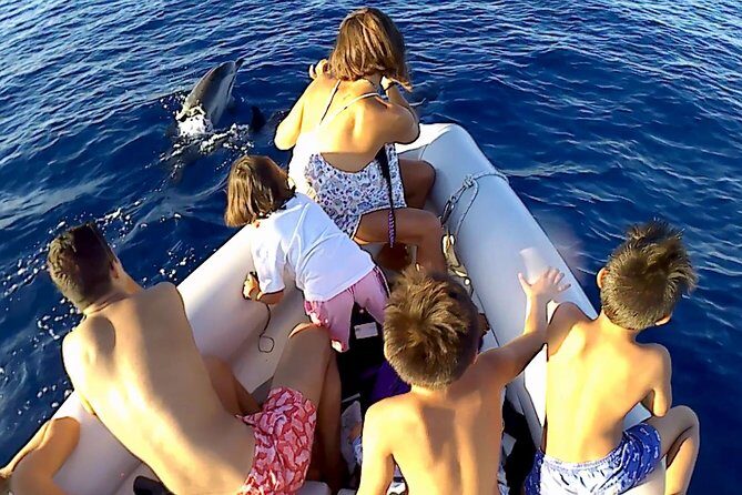 Dolphin Watching & Conservation - Dolphins in the Gulf of Catania - Who Is This Tour Best For?