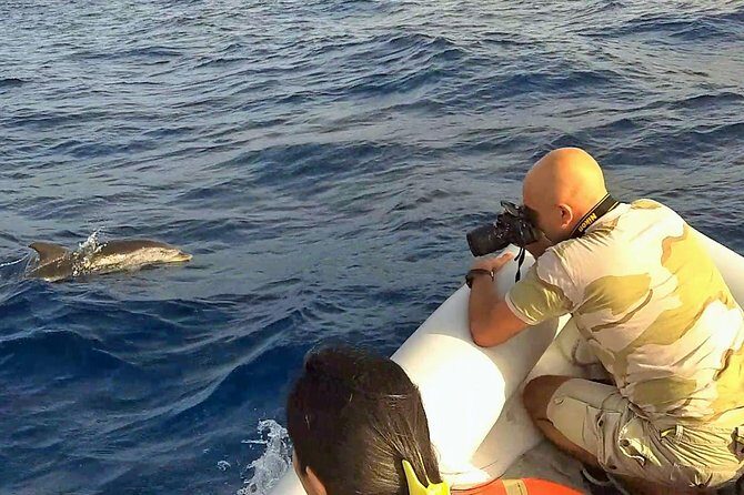 Dolphin Watching & Conservation - Dolphins in the Gulf of Catania - Final Thoughts