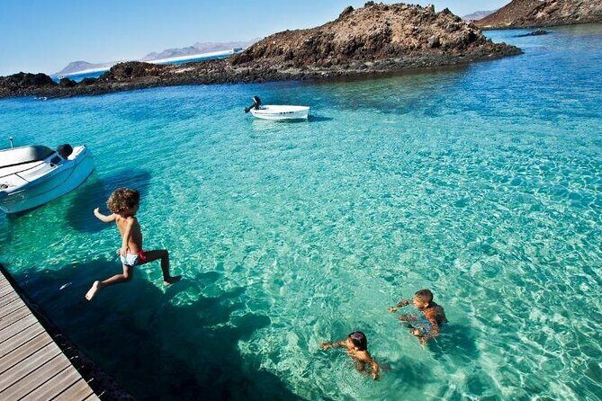 Dolphin Watching Cruise to Lobos Island - An In-Depth Look at the Dolphin Watching Cruise Experience