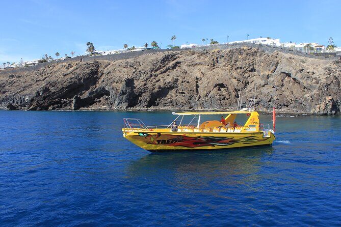 Dolphin Watching Cruise to Lobos Island - Final Thoughts: Is This Tour Right for You?