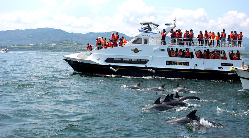 Dolphin Watching Experience in Amakusa - The two-hour route out to the dolphins