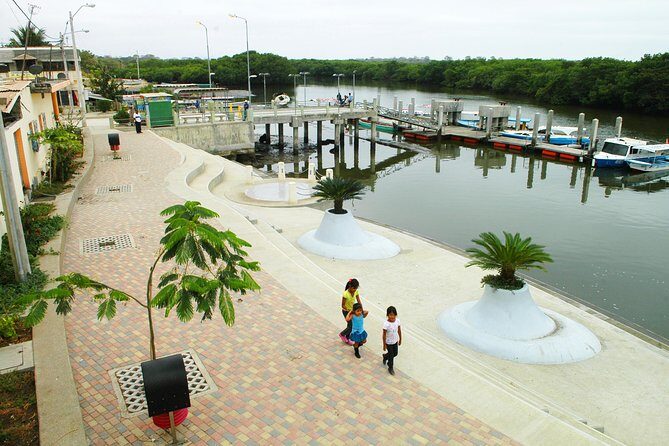 Dolphin Watching Experience in Puerto El Morro from Guayaquil - An In-Depth Look at the Dolphin Watching Experience in Puerto El Morro