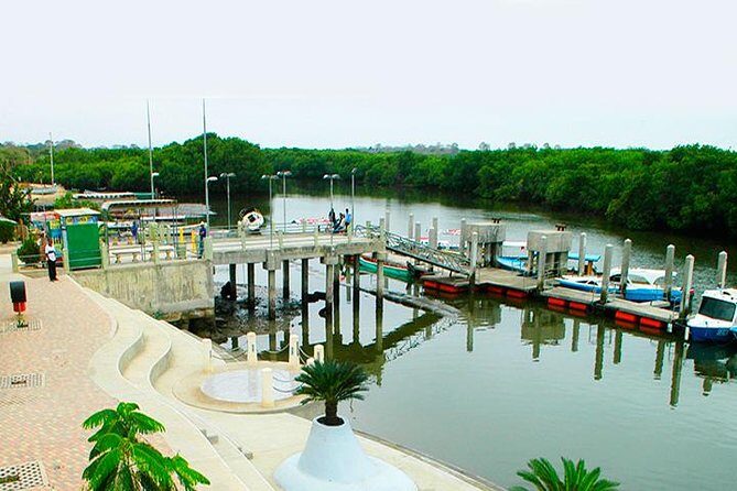 Dolphin Watching Experience in Puerto El Morro from Guayaquil - Authentic Experiences and Real Traveler Feedback