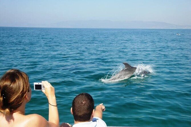 Dolphin Watching from Faro - Authentic Experiences and Honest Feedback