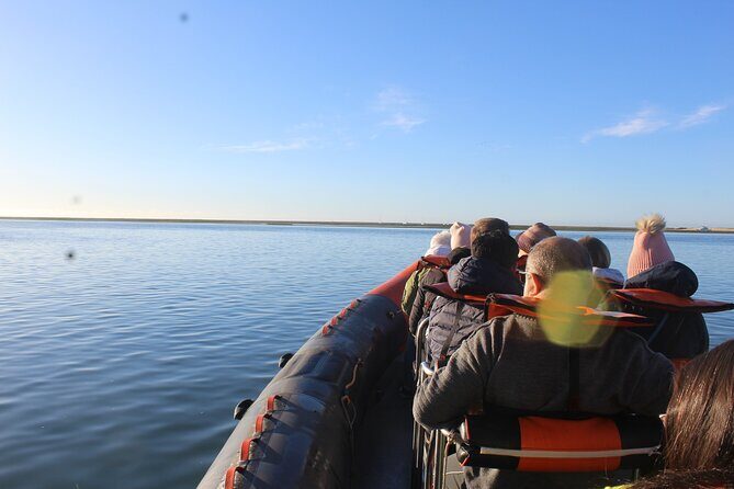 Dolphin Watching from Faro - Frequently Asked Questions