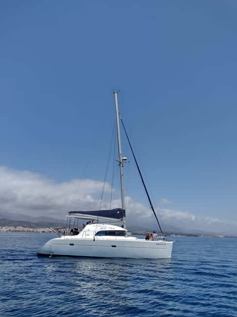 Dolphin watching in Estepona - Final Thoughts: A Genuine Sea Encounter