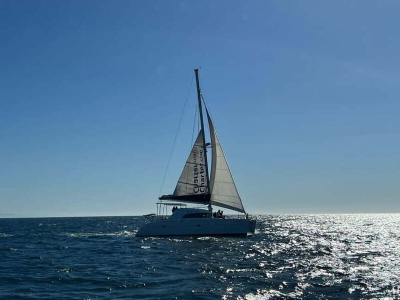 Dolphin watching in Estepona - FAQ