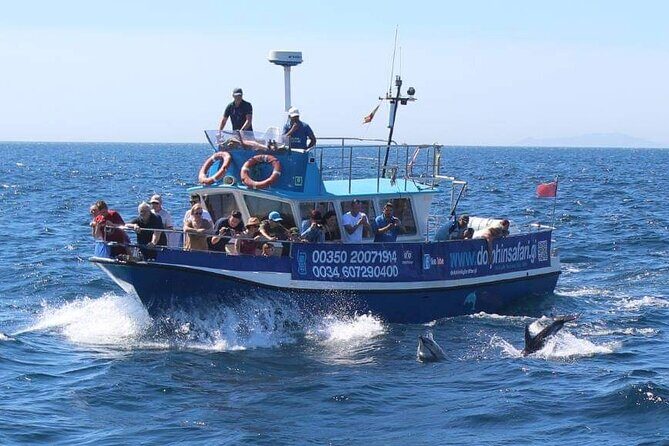 Dolphin Watching in Gibraltar Dolphin Safari V.I.P - Frequently Asked Questions