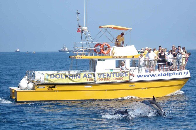 Dolphin Watching in Gibraltar & Fast Track Priority Cable Car - Who Will Enjoy This Tour Most?