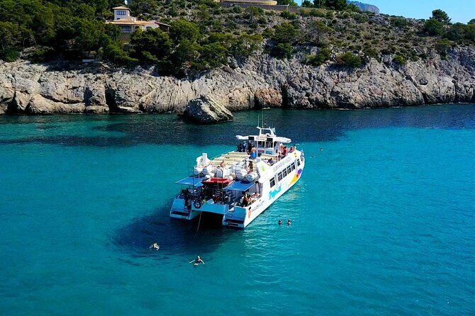 Dolphin Watching in Majorca - Key Points