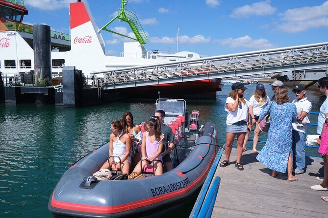 Dolphin watching in Setúbal - A Deep Dive into the Dolphin Watching Experience in Setúbal