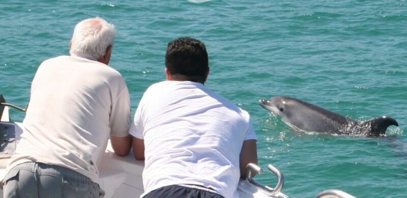 Dolphin Watching in the Wild - Half Day Tour - Final Thoughts