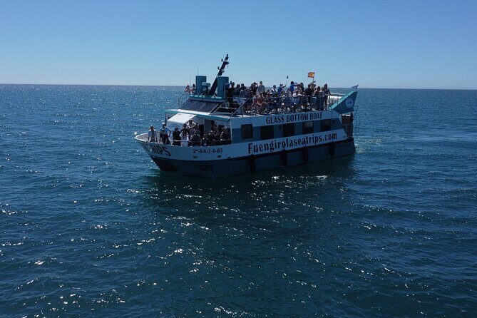 Dolphin watching on a Catamaran in Fuengirola - Dolphin Watching on a Catamaran in Fuengirola: A Practical Review