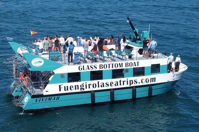 Dolphin watching on a Catamaran in Fuengirola - Final Thoughts: Is This Tour for You?