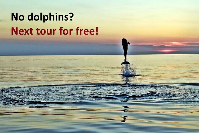 Dolphin Watching Sunset Speedboat Tour with Drinks in Rovinj - Introduction