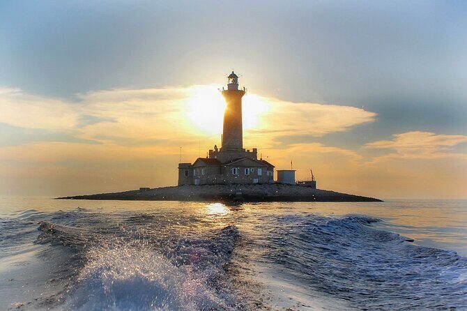 Dolphin Watching Tour  85% Chance  Drinks & Dinner Included - The Sum Up: Is It Worth It?