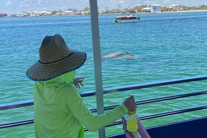 Dolphin Watching Tour in Orange Beach - FAQs