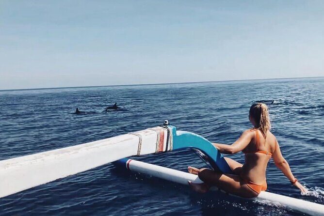 Dolphin Watching Tour, Swimming with Dolphins and Snorkeling - Key Points