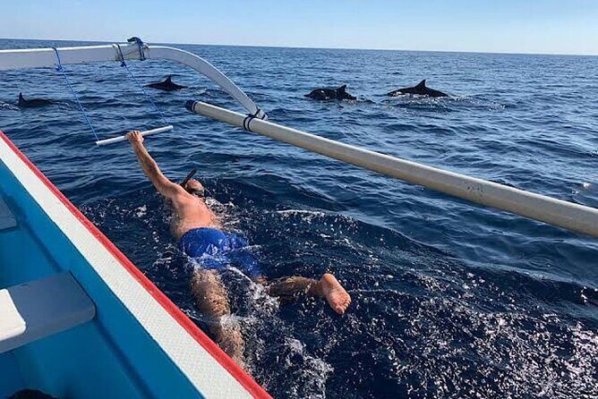 Dolphin Watching Tour, Swimming with Dolphins and Snorkeling - FAQs