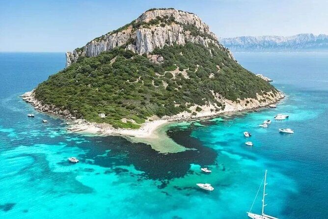 Dolphin Watching Tour with Snorkeling from Olbia - Final Thoughts