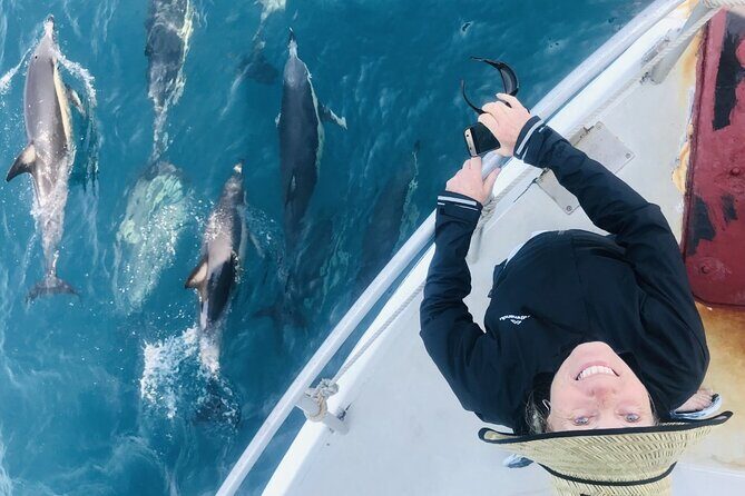 Dolphin & Wildlife Encounters - Who Will Love This Tour?