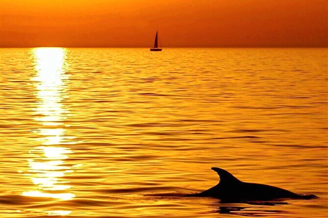 Dolphins and sunset watching private boat tour from Pula - Who Will Love This Tour?